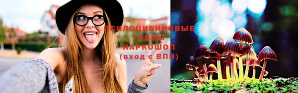 мяу мяу мука Хадыженск