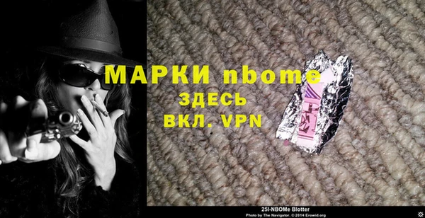 индика Чердынь