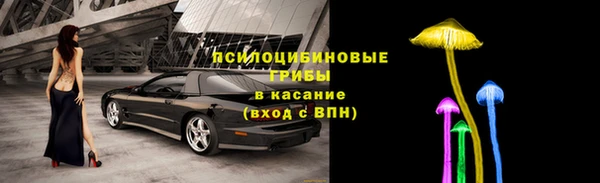 хмурый Луховицы