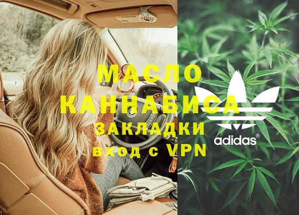 индика Лысково