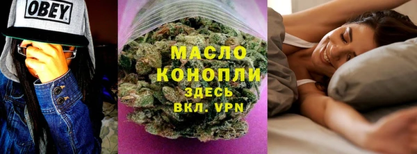 индика Лысково