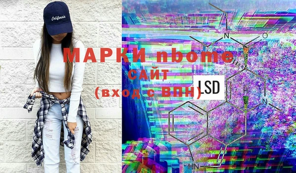 индика Чердынь