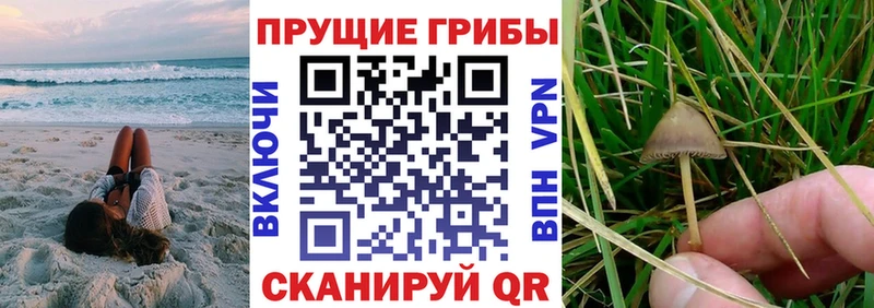 mega ссылка  Заинск  Псилоцибиновые грибы Magic Shrooms 
