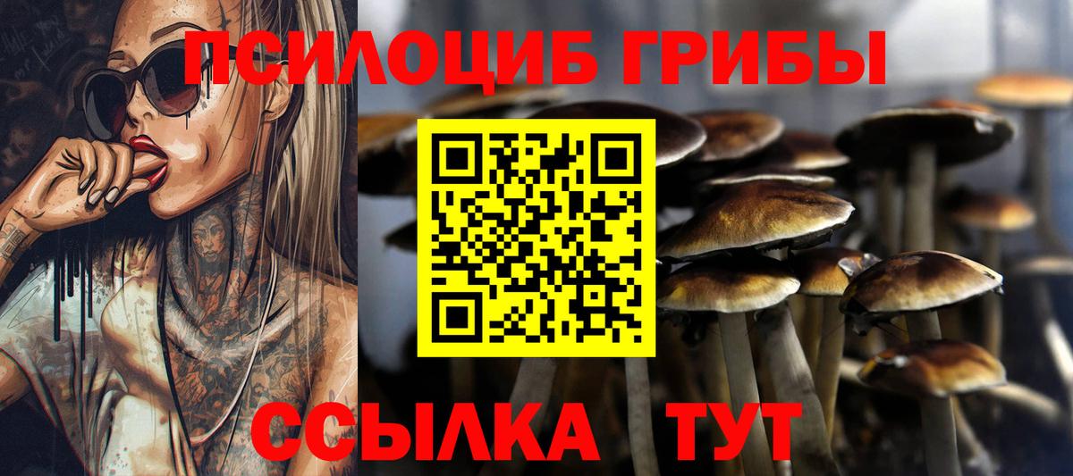Псилоцибиновые грибы GOLDEN TEACHER Заинск