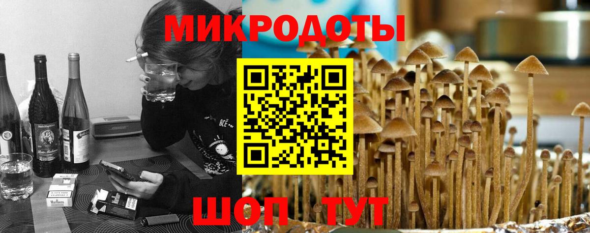 Псилоцибиновые грибы мицелий  Вход с VPN  Галлюциногенные грибы Cubensis  Заинск 